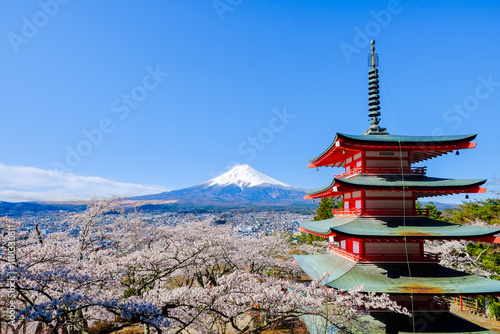 新倉山浅間公園　春の富士山 photo