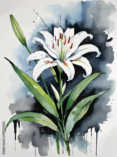 single white lily watercolor vector