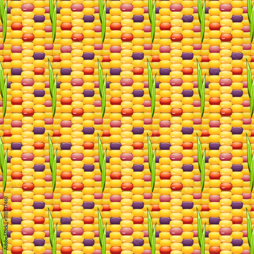 Multi-colored corn in a pattern.Vector seamless pattern of colorful corn.