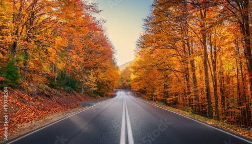 road in autumn forest