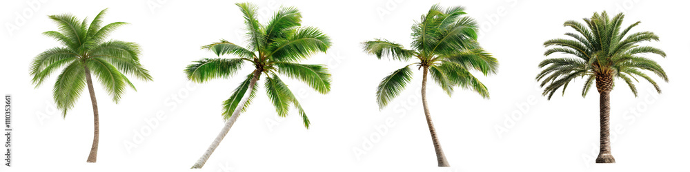 Fototapeta premium Dramatic palm trees bending towards ground, showcasing their lush green leaves and unique shapes, create striking visual impact