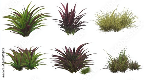 Wallpaper Mural Six Diverse Grass   Plant Varieties  Isolated   D Render Torontodigital.ca