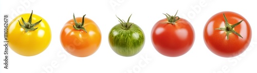 Wallpaper Mural Colorful Tomatoes  Red  Yellow  Orange  Green Torontodigital.ca