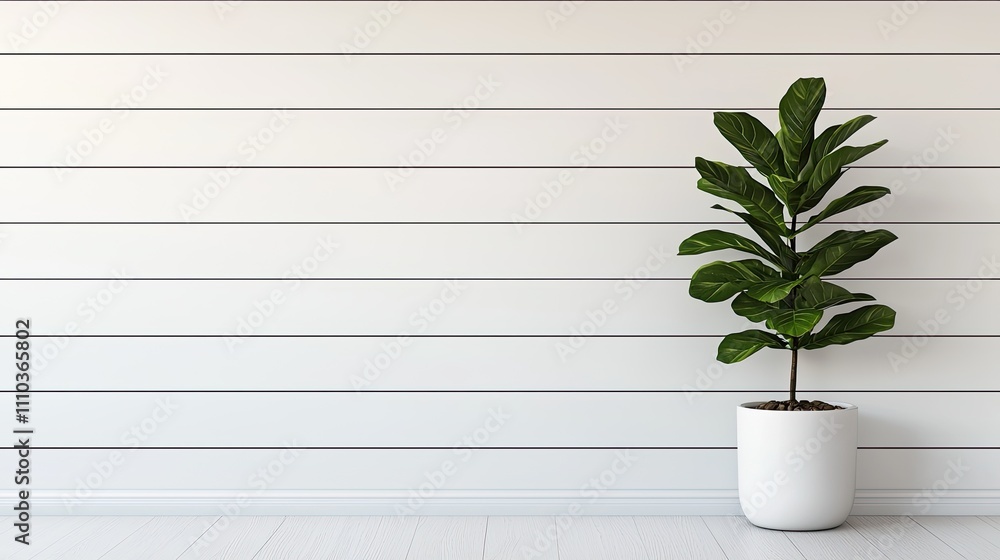 A potted plant stands against a minimalist white wooden wall, showcasing its lush green leaves and modern design. A potted plant stands against a minimalist white wooden wall, showcasing its lush green leaves and modern design.
