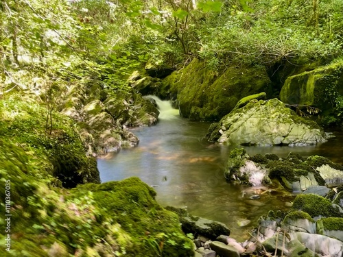 Kleiner Fluss im Glengarriff Woods Nature Reserve, Irland