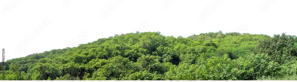 Beautiful Mountain isolated on transparent background with clipping path and alpha channel, high resolution. Beautiful Mountain isolated on transparent background with clipping path and alpha channel, high resolution.