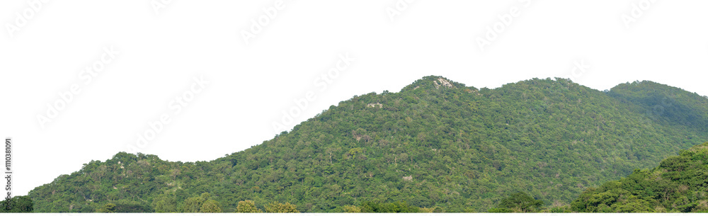 custom made wallpaper toronto digitalBeautiful Mountain isolated on transparent background with clipping path and alpha channel, high resolution.