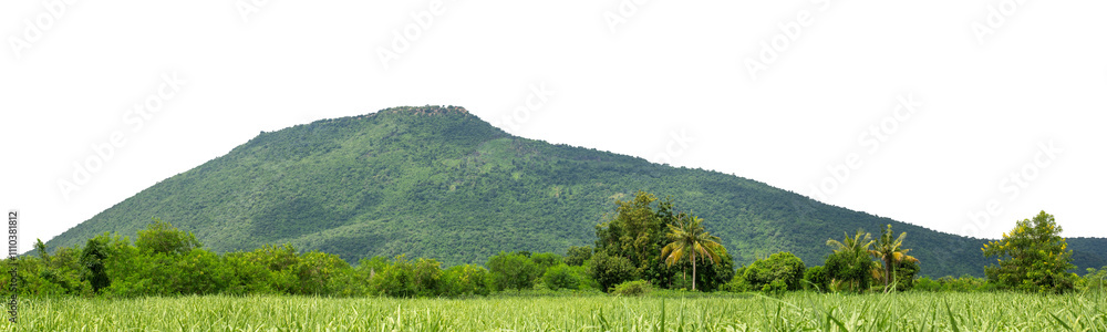 Obraz premium Beautiful Mountain isolated on transparent background with clipping path and alpha channel, high resolution.