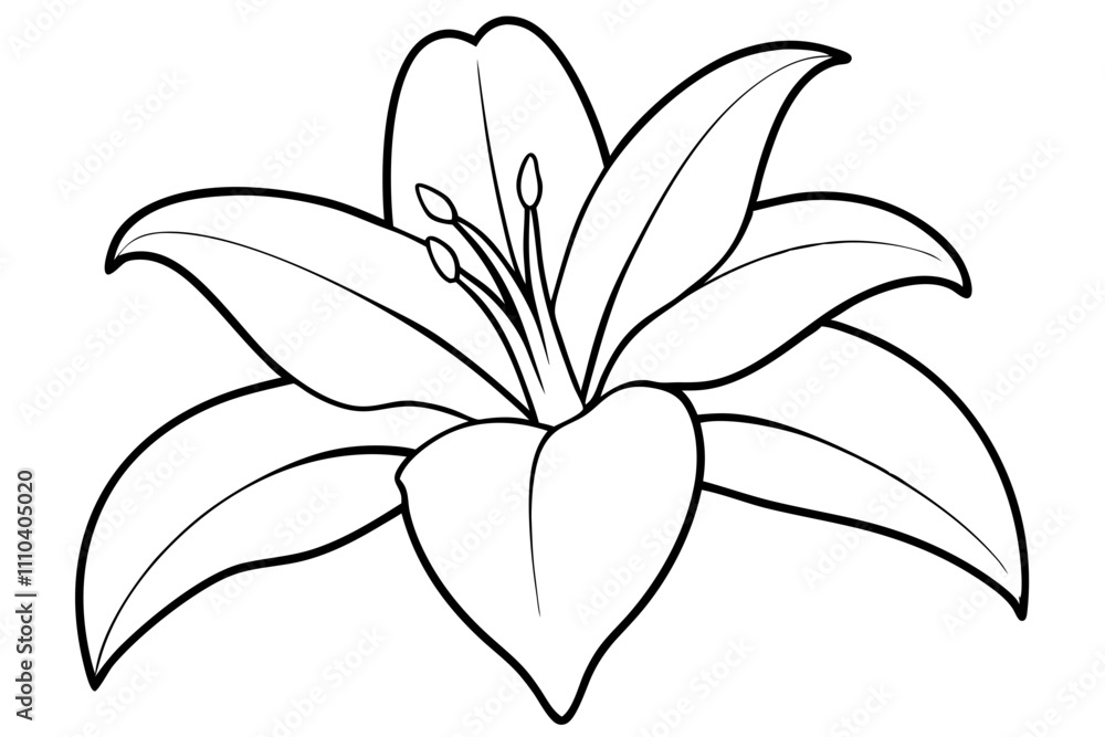 Obraz premium A simple White Lily line art vector white background