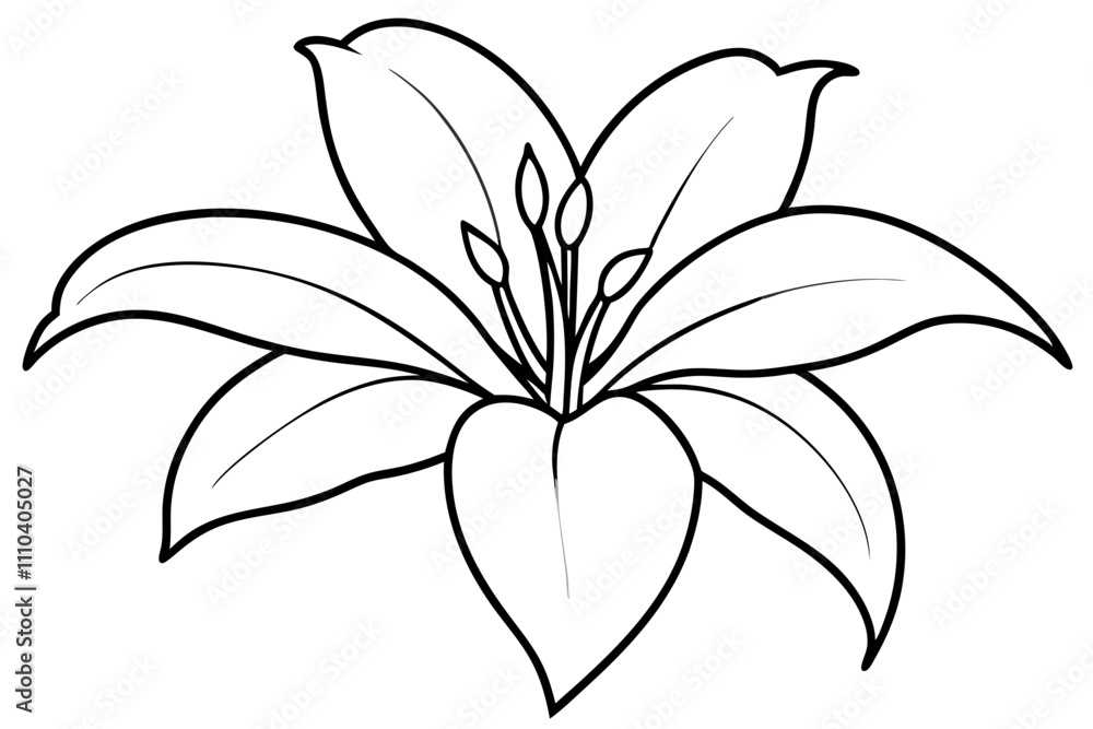 Obraz premium A simple White Lily line art vector white background