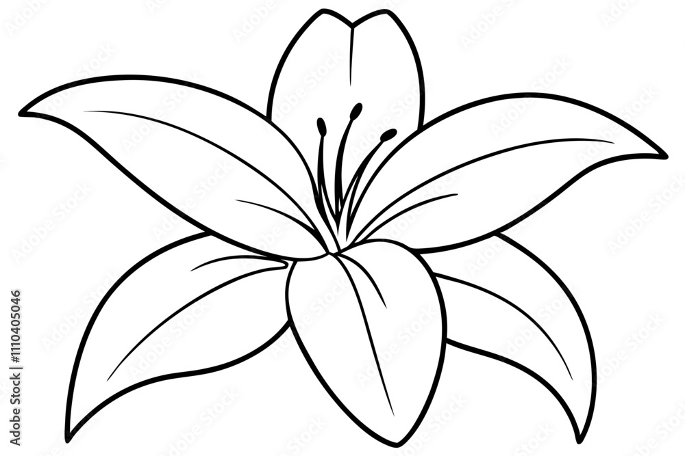 Obraz premium A simple White Lily line art vector white background