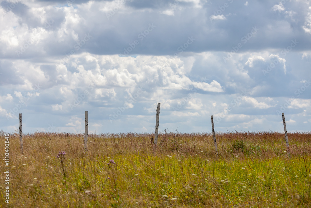 Obraz premium Lush green and golden grasses sway gently while wooden posts stand resilient against a backdrop of fluffy clouds.