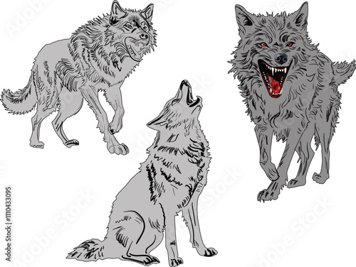 three grey wolfs collection isolated on white