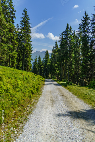 In den österreichischen Alpen