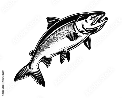 salmon fish engraving black and white outline