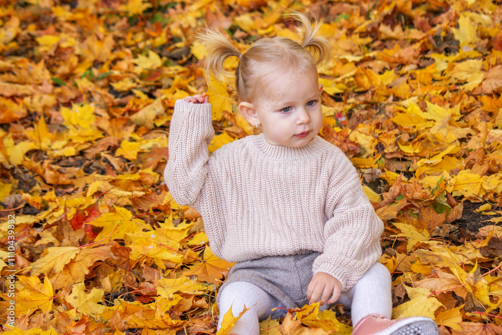 little girl in a beautiful autumn park. Golden autumn. little girl in a beautiful autumn park. Golden autumn.