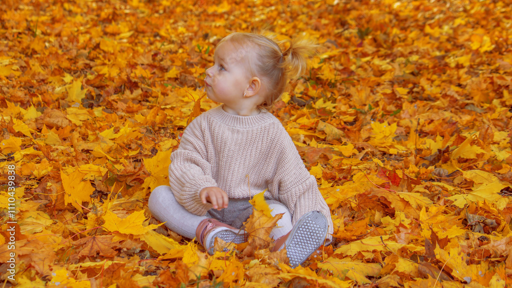 little girl in a beautiful autumn park. Golden autumn. little girl in a beautiful autumn park. Golden autumn.