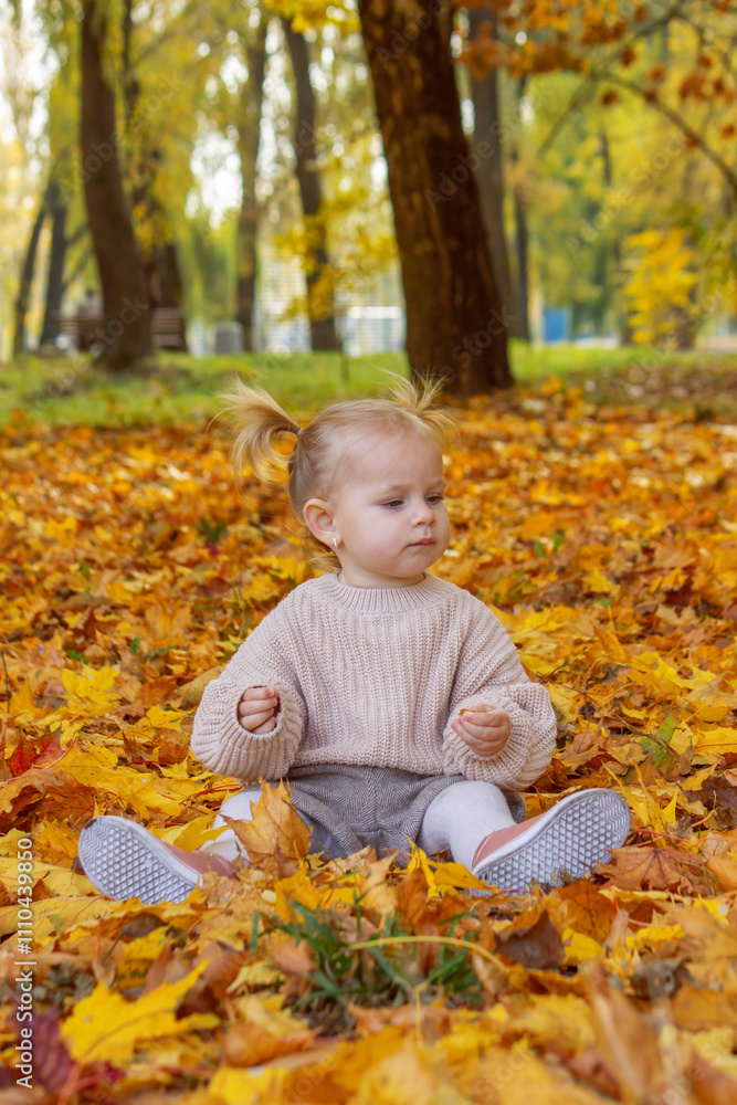 little girl in a beautiful autumn park. Golden autumn. little girl in a beautiful autumn park. Golden autumn.