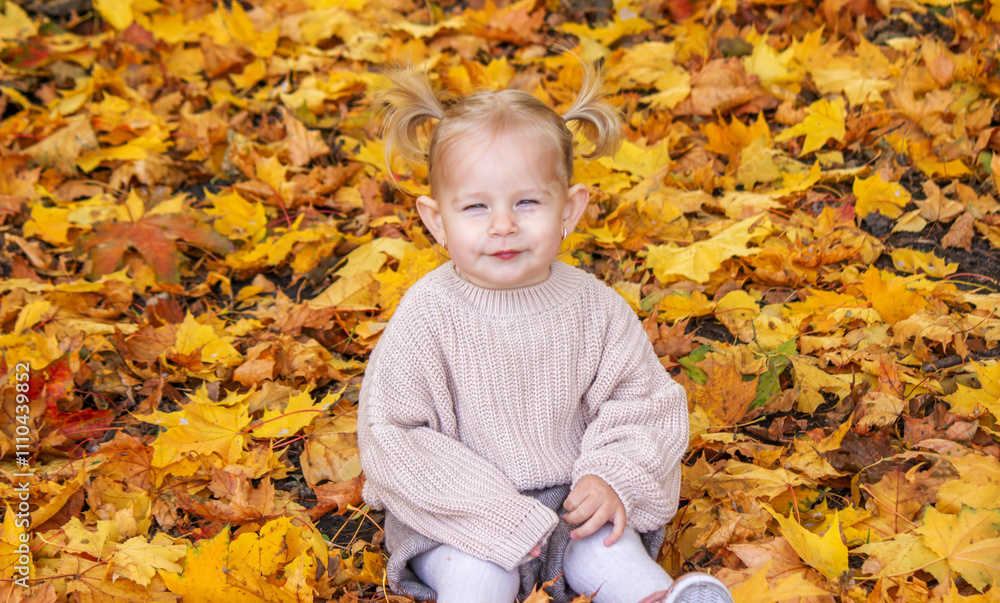 little girl in a beautiful autumn park. Golden autumn. little girl in a beautiful autumn park. Golden autumn.