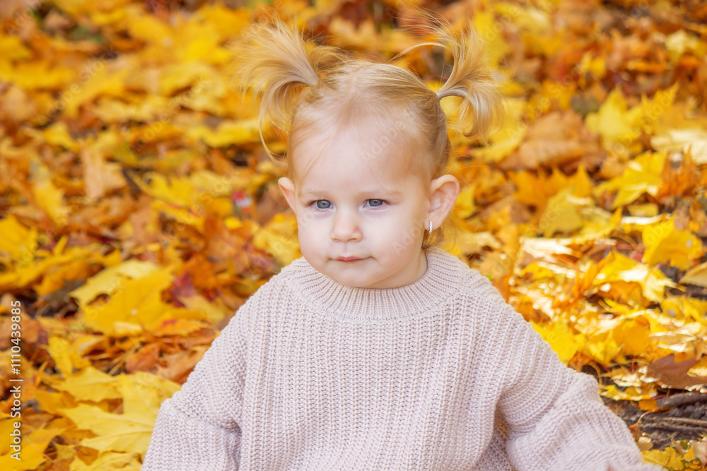 little girl in a beautiful autumn park. Golden autumn. little girl in a beautiful autumn park. Golden autumn.