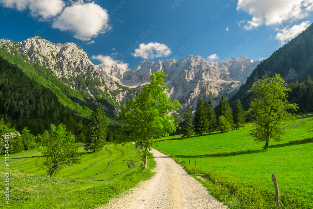 Fototapeta premium Idyllic green valley with magnificent Alps mountains in Slovenia