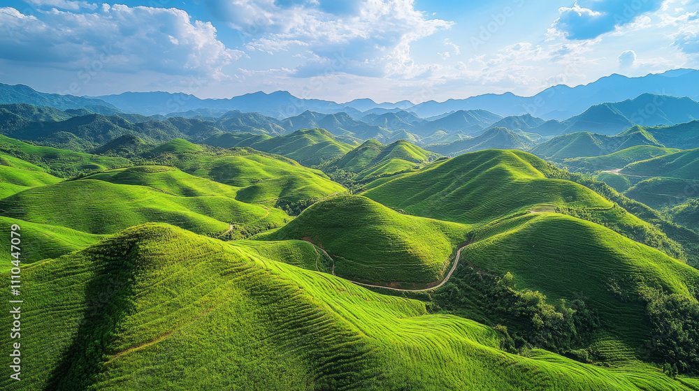 Obraz premium Mountains, lawns, nature
