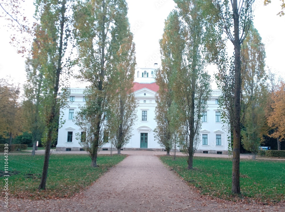 Naklejka premium church in the park