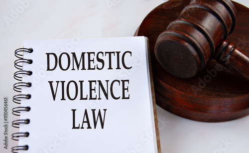 DOMESTIC VIOLENCE LAW - words in a white notebook with a judge's gavel in the background