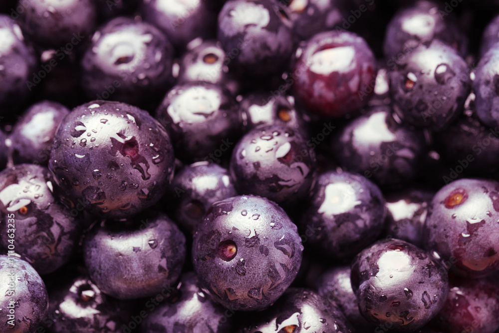 Wet acai berries as background, closeup view Wet acai berries as background, closeup view