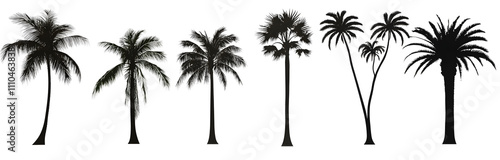 Silhouette vector set of palm trees art on white background