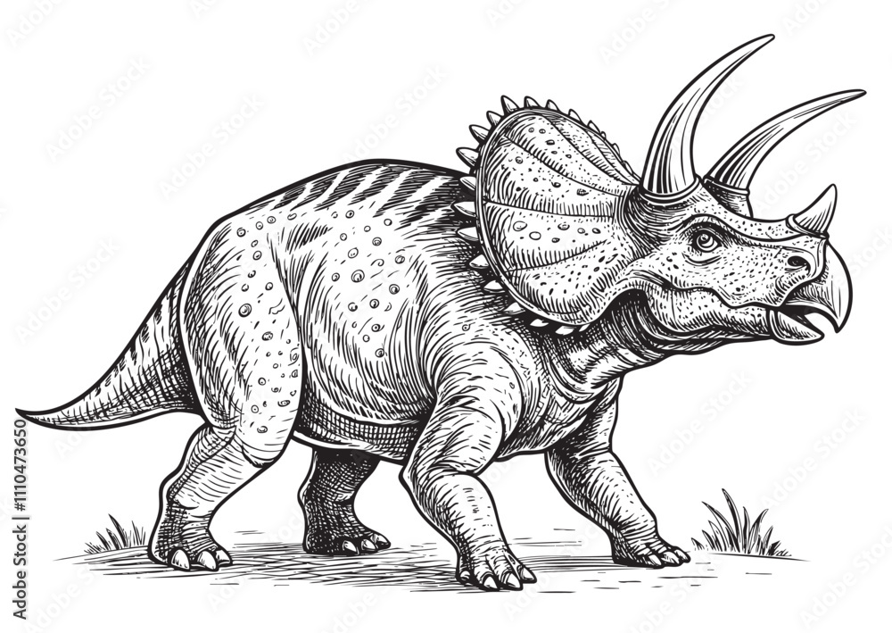 Obraz premium Triceratops dinosaur engraving vector illustration