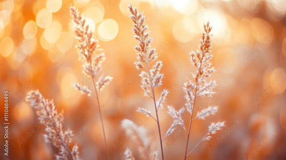 Warm Organic Shapes with Soft Bokeh Patterns in Gentle Light Warm Organic Shapes with Soft Bokeh Patterns in Gentle Light