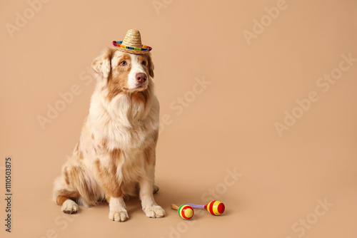 Funny dog in sombrero hat a...