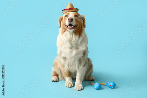 Funny dog in sombrero hat a...