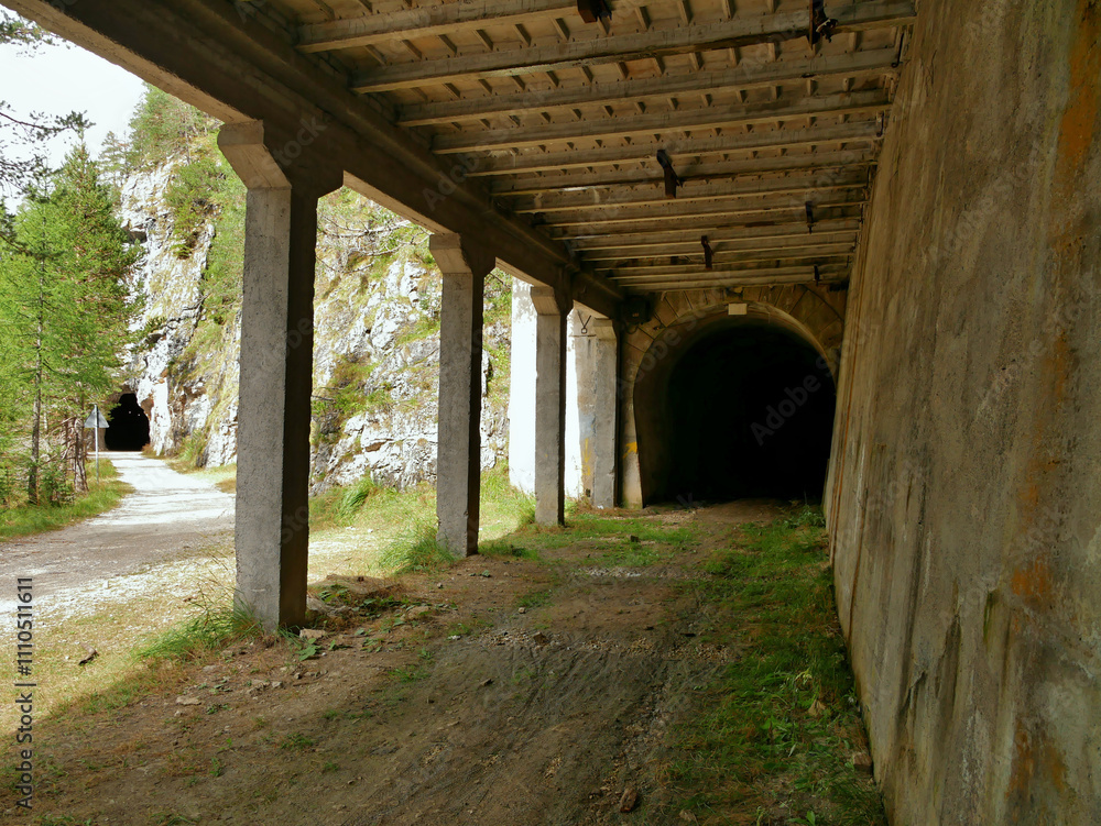 Entrance to an old railway tunnel in the Italian Alps Entrance to an old railway tunnel in the Italian Alps