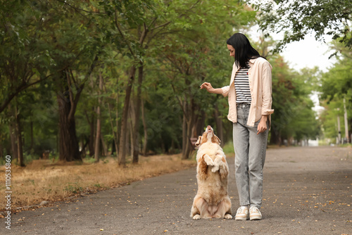 Pretty young woman with treat training her cute Australian Shepherd dog in park