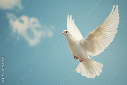 White dove in flight against a clear blue sky during daylight