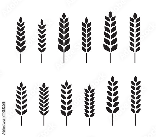 Wheat Vector on Black Colour