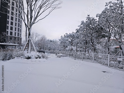 a beautiful scenery caused by heavy snow