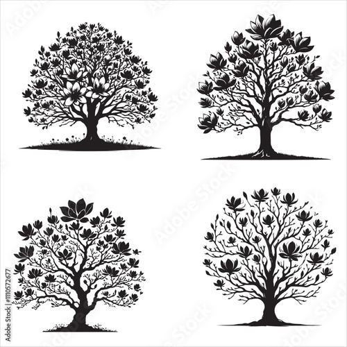  silhouette of clean vector of Magnolia
 tree isolated on white background