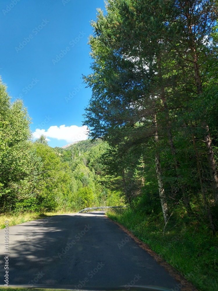 Fototapeta premium Hoz de Jaca - Pirineos 2024 - 7