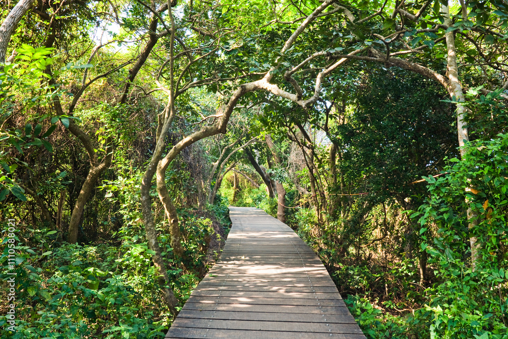 Obraz premium View of the boardwalk paths through the forest of mountains, This is Tzaishan(Shoushan) National Nature Park in Kaohsiung, Taiwan.