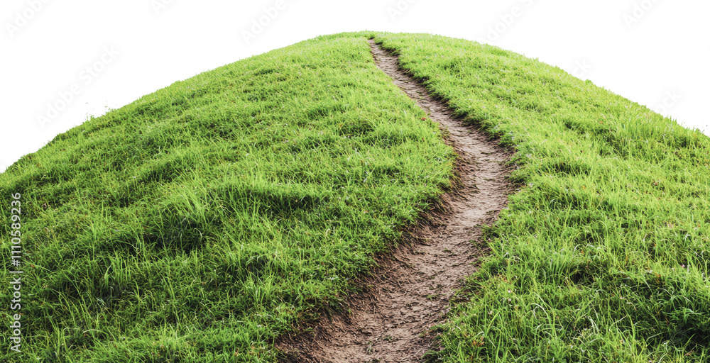 Winding path through lush green hilltop landscape, cut out - stock png. Winding path through lush green hilltop landscape, cut out - stock png.