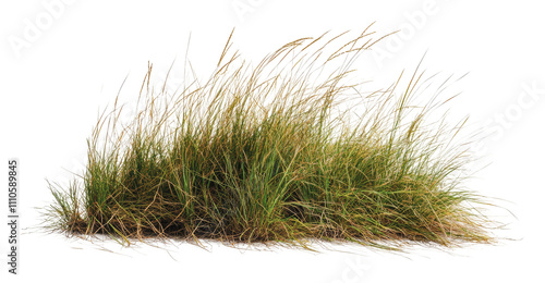 Lush green grass clump in natural light, cut out - stock png. © Mr. Stocker