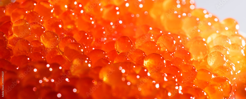 Red caviar background texture close up. Salmon caviar backdrop. Delicious gourmet food. Delicatessen. Texture of caviar. Seafood, macro shot, border design Red caviar background texture close up. Salmon caviar backdrop. Delicious gourmet food. Delicatessen. Texture of caviar. Seafood, macro shot, border design