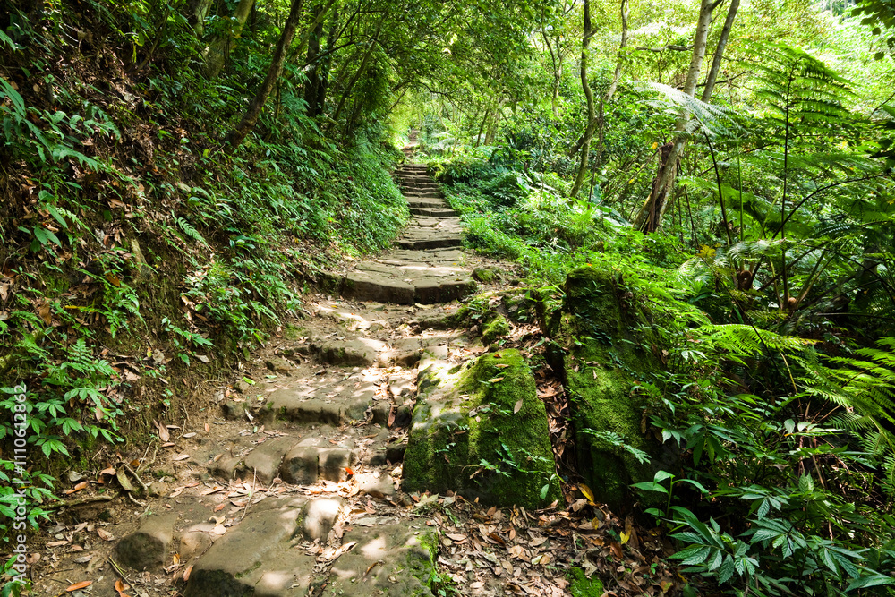 The stone stairs path passes through the forest in the mountains of Taiwan.
