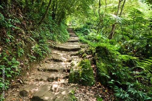 Obraz na płótnie The stone stairs path passes through the forest in the mountains of Taiwan. w salonie
