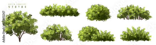  Vector watercolor green  tree or forest side view isolated on white background for landscape and architecture drawing,elements for environment or and garden,Shrub for section