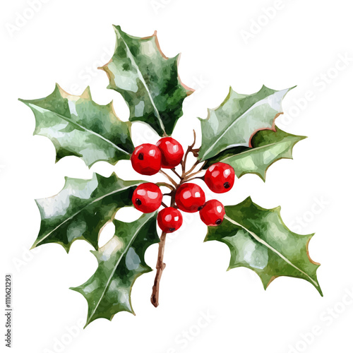 Watercolor Christmas decorated, Watercolor Christmas Holly berry, branch with red berries and green leaves, holly on an isolated white background, watercolor illustration, hand drawing, Watercolor