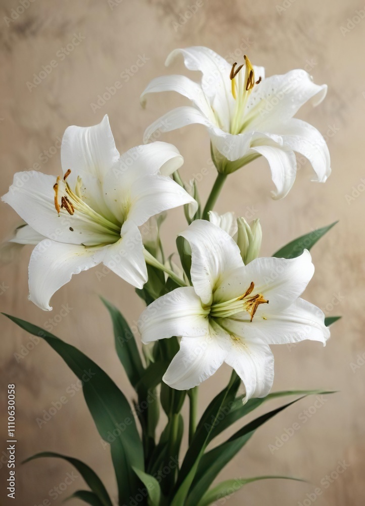 Close-up of white lilies on textured paper with space for text, elegant, sorrow Close-up of white lilies on textured paper with space for text, elegant, sorrow